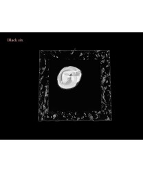 Black six