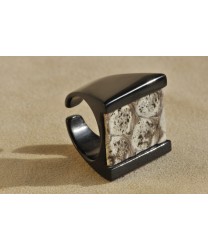 Anello 4